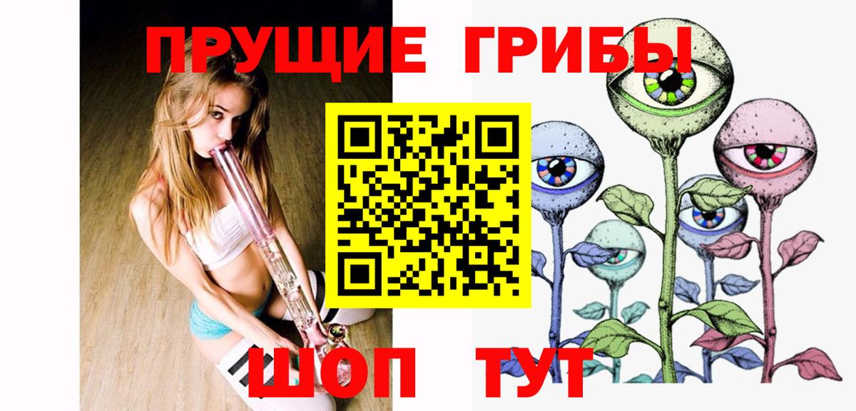 Псилоцибиновые грибы мицелий  наркота  Вход с VPN  Алексеевка  Галлюциногенные грибы GOLDEN TEACHER 